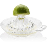Citruspers JURADO - GEFU